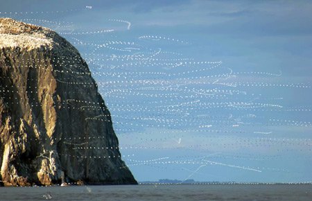 'The Bass Rock from Seacliff >16:14:55-16:15:01< 08/10/04' by Ian Scott
